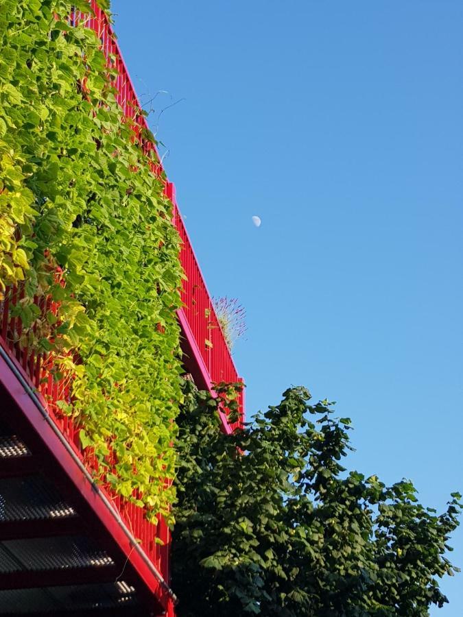 Ljubljana'S Terrace公寓 外观 照片